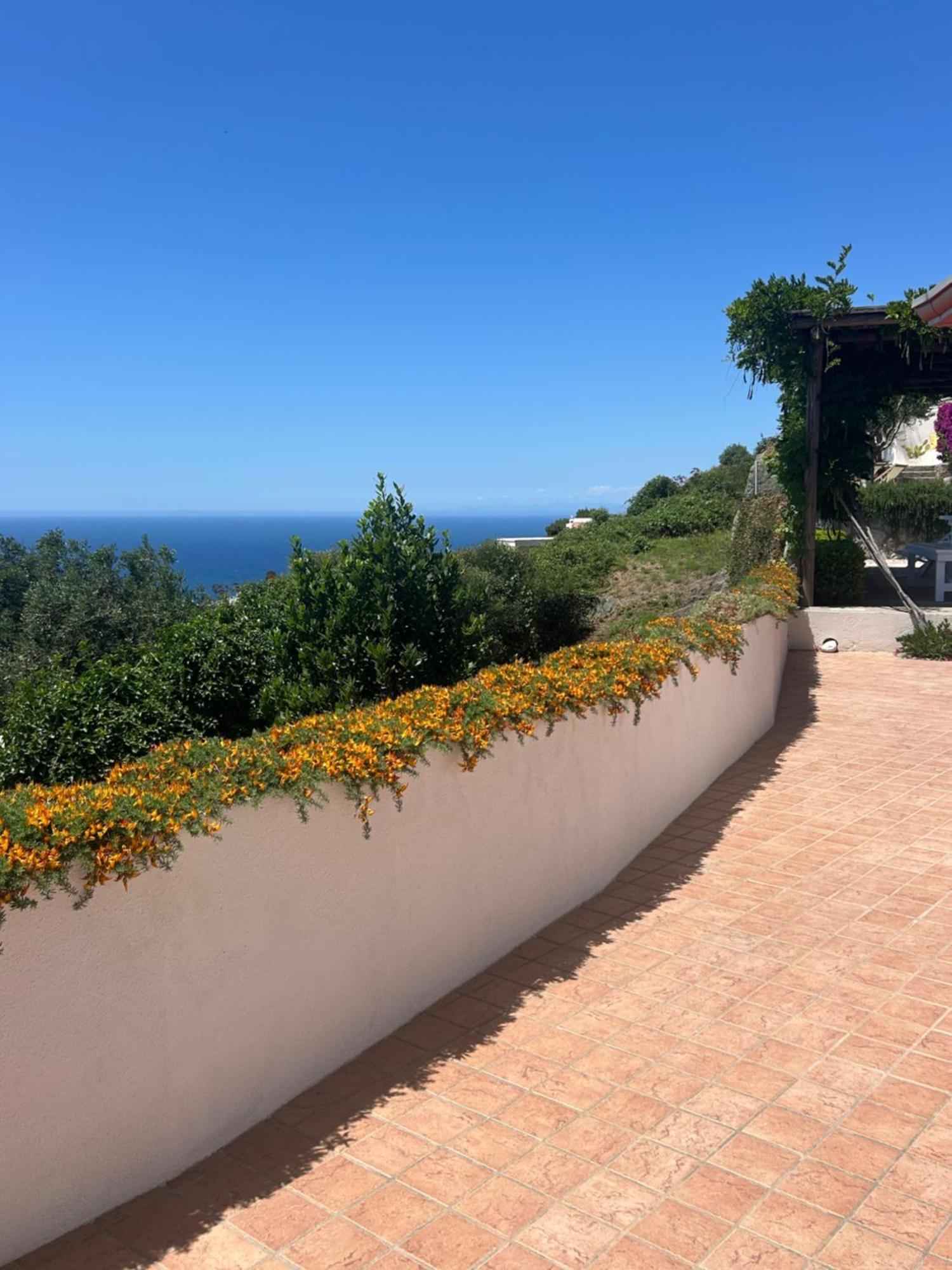 Villa Inarime ايسكيا المظهر الخارجي الصورة