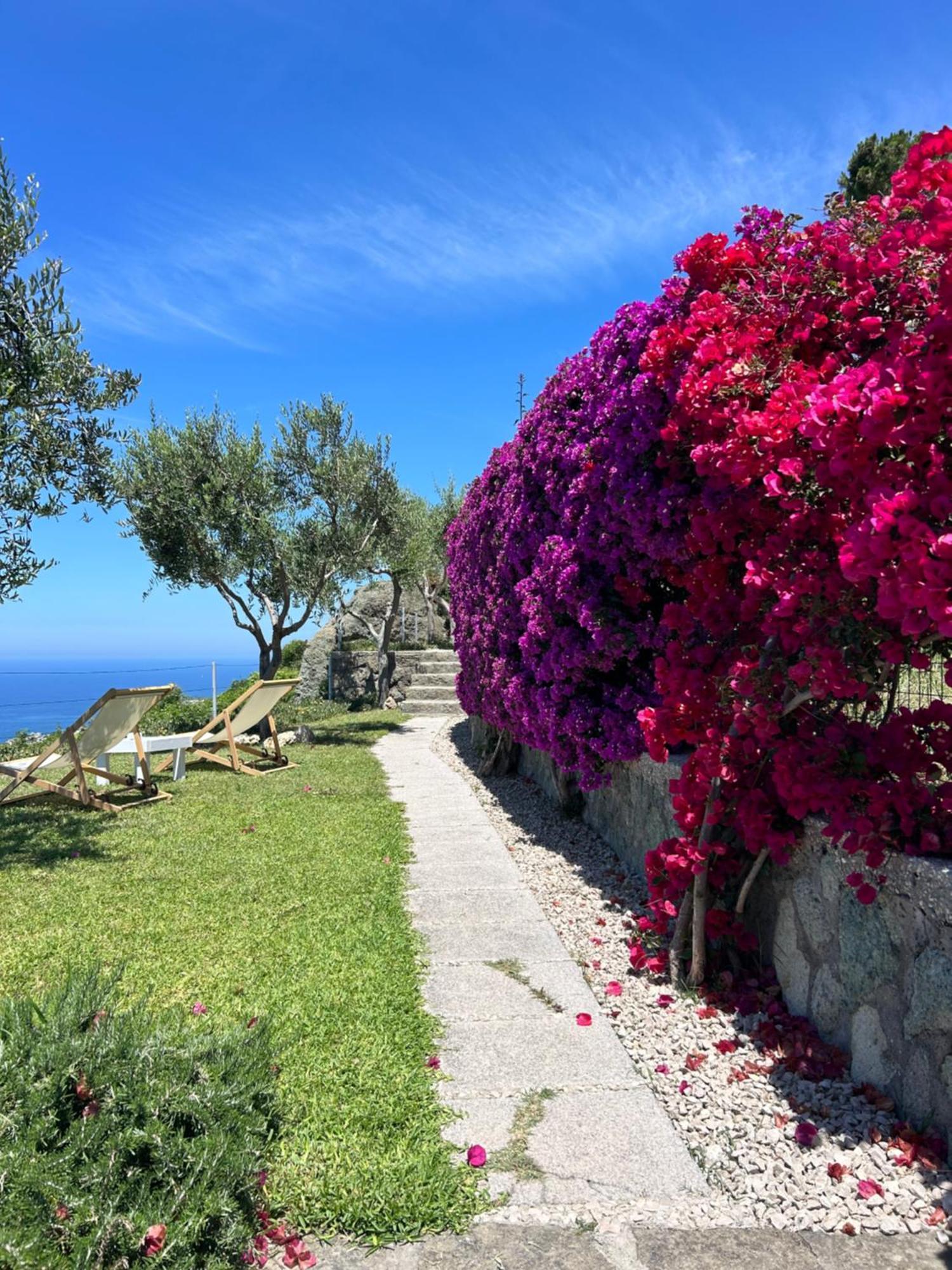 Villa Inarime ايسكيا المظهر الخارجي الصورة