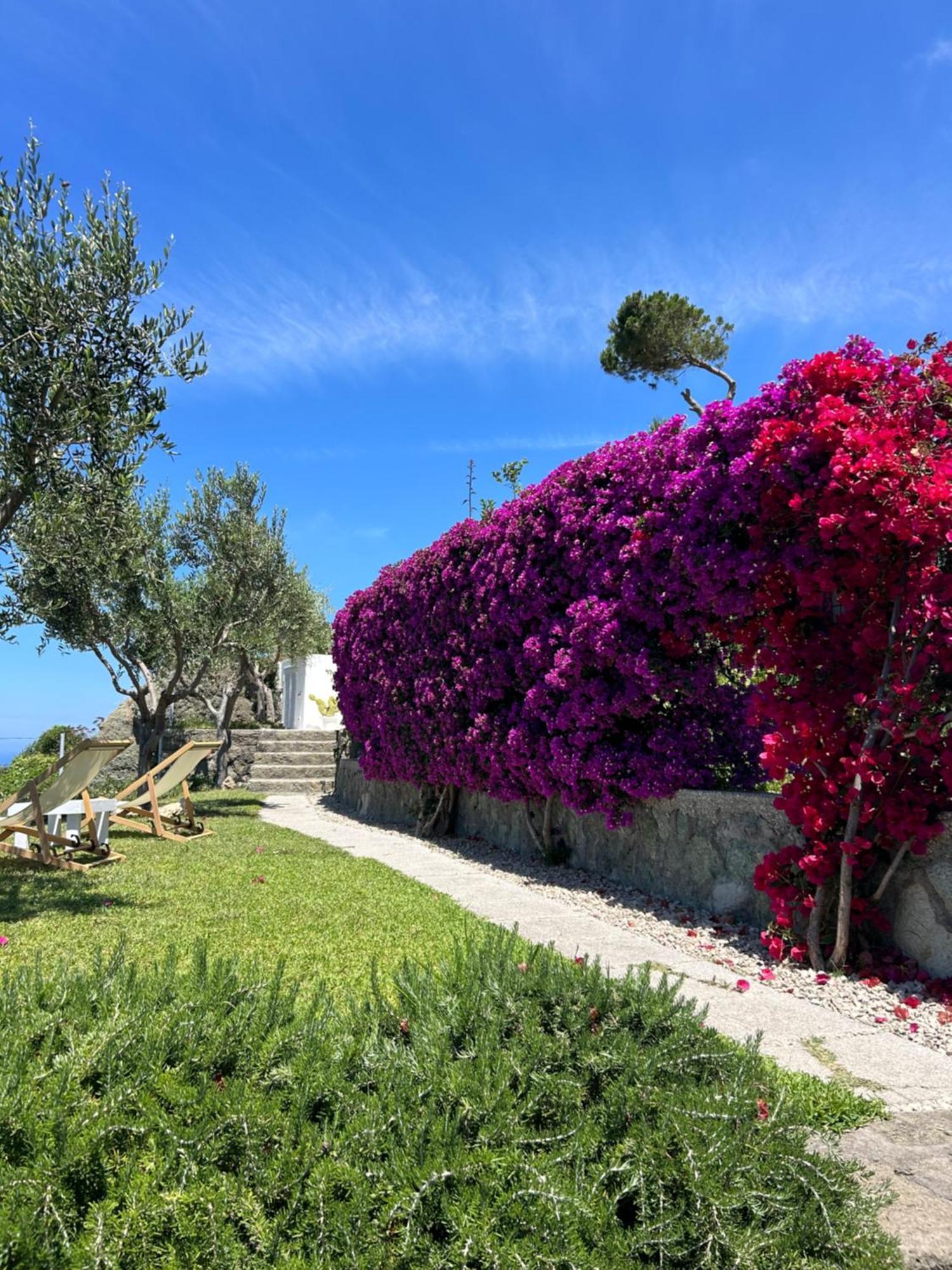 Villa Inarime ايسكيا المظهر الخارجي الصورة