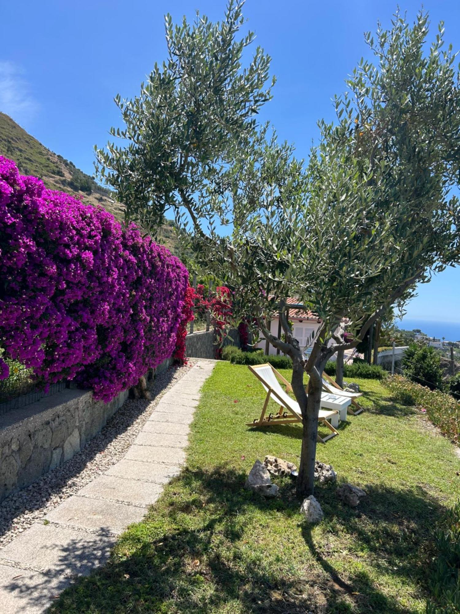 Villa Inarime ايسكيا المظهر الخارجي الصورة
