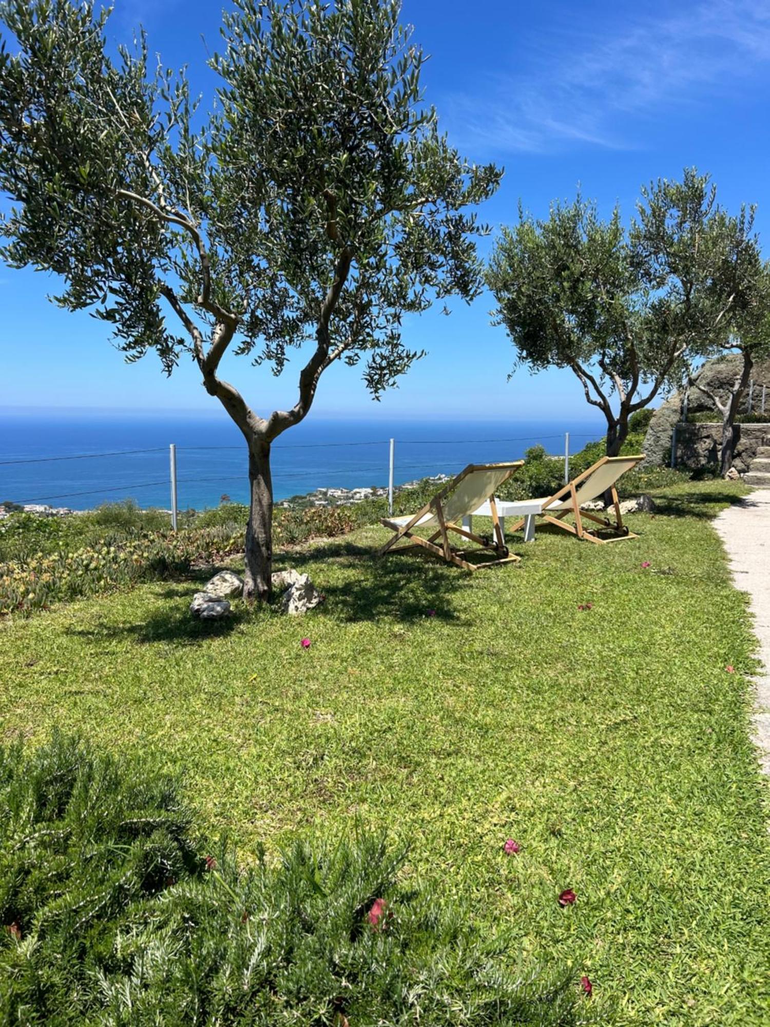 Villa Inarime ايسكيا المظهر الخارجي الصورة