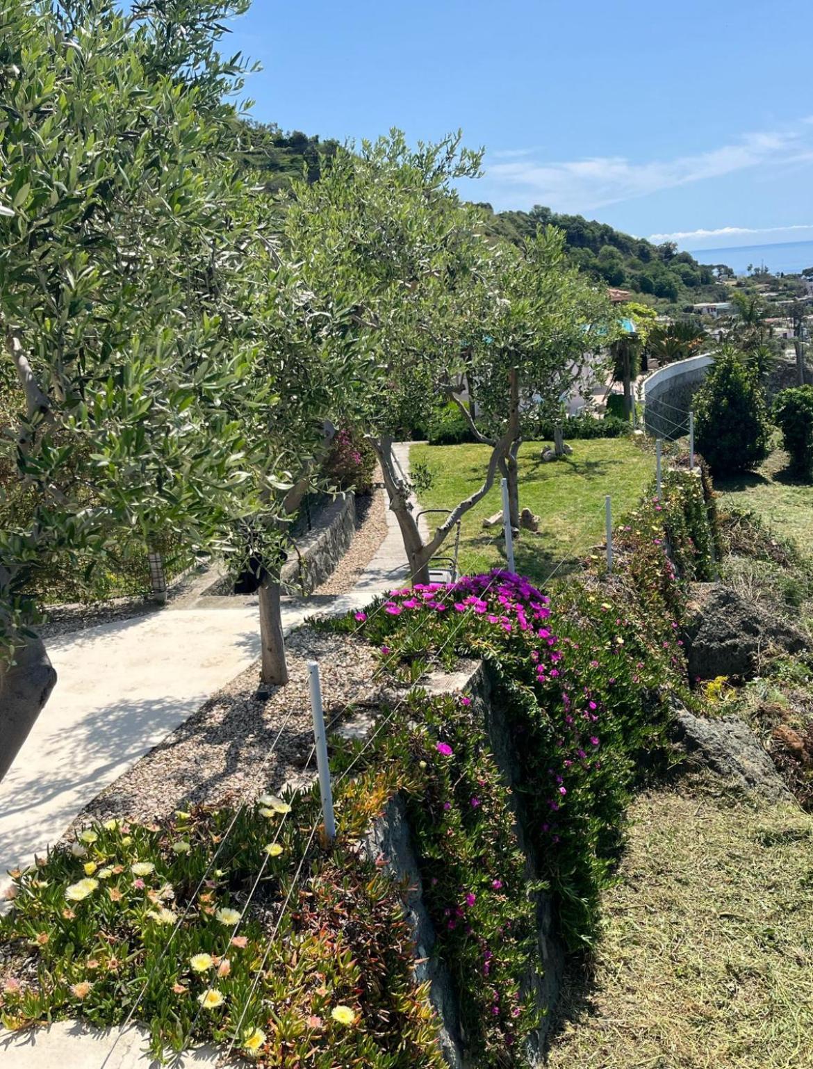 Villa Inarime ايسكيا المظهر الخارجي الصورة